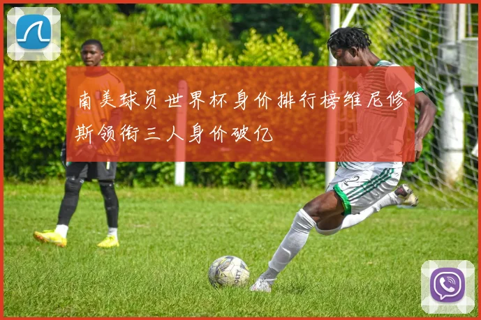 南美球员世界杯身价排行榜维尼修斯领衔三人身价破亿