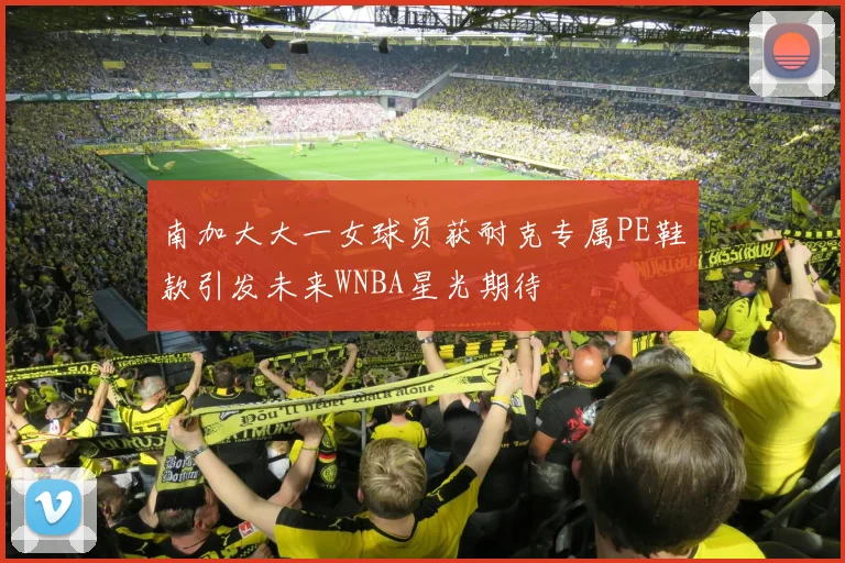 南加大大一女球员获耐克专属PE鞋款引发未来WNBA星光期待