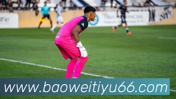 宝威体育平台生态图