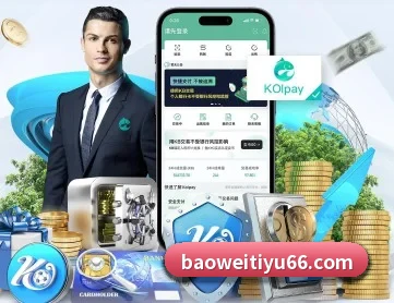 宝威体育 APP